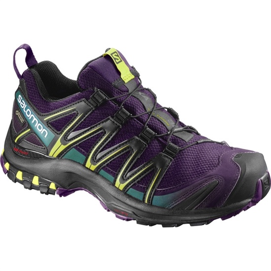 Purple / Black Women's Salomon XA PRO 3D GTX W Trail Running Shoes | 697-BFVKXH