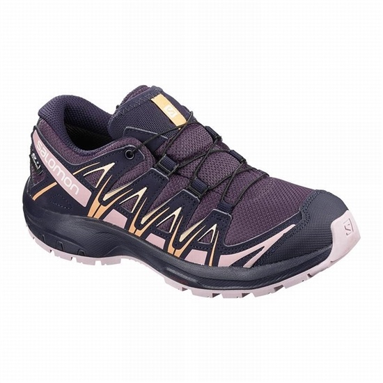 Purple / Blue Kids' Salomon XA PRO 3D CLIMASALOMON WATERPROOF Trail Running Shoes | 856-ZSQGJA