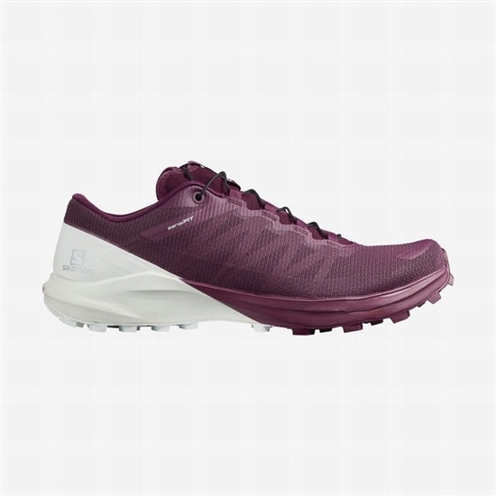 Purple / White Women's Salomon SENSE PRO 4 Trail Running Shoes | 873-JZNDOY