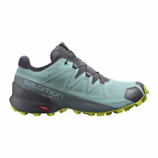 Turquoise / Dark Grey Women's Salomon SPEEDCROSS 5 GORE-TEX Trail Running Shoes | 037-BHLRSY