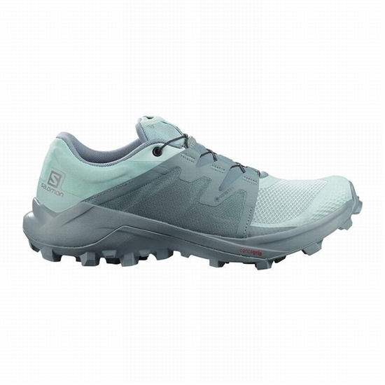 Turquoise / Turquoise Women's Salomon WILDCROSS GTX Trail Running Shoes | 903-TOUXIQ