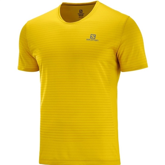 Yellow Men's Salomon SENSE M T Shirts | 062-IGEFOT