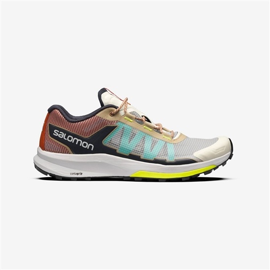 Yellow Men's Salomon ULTRA RAID Sneakers | 103-HISCRP